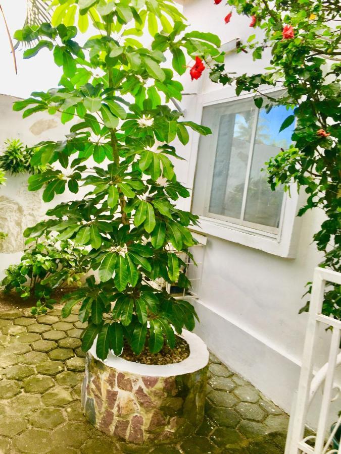 Residence Archange Pointe Noire Ngoại thất bức ảnh